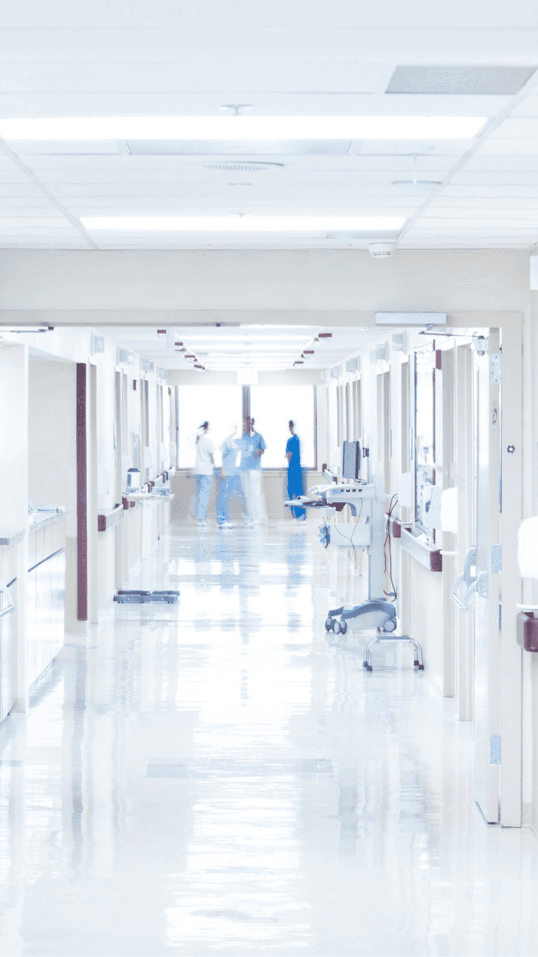 clinicas sanitarias