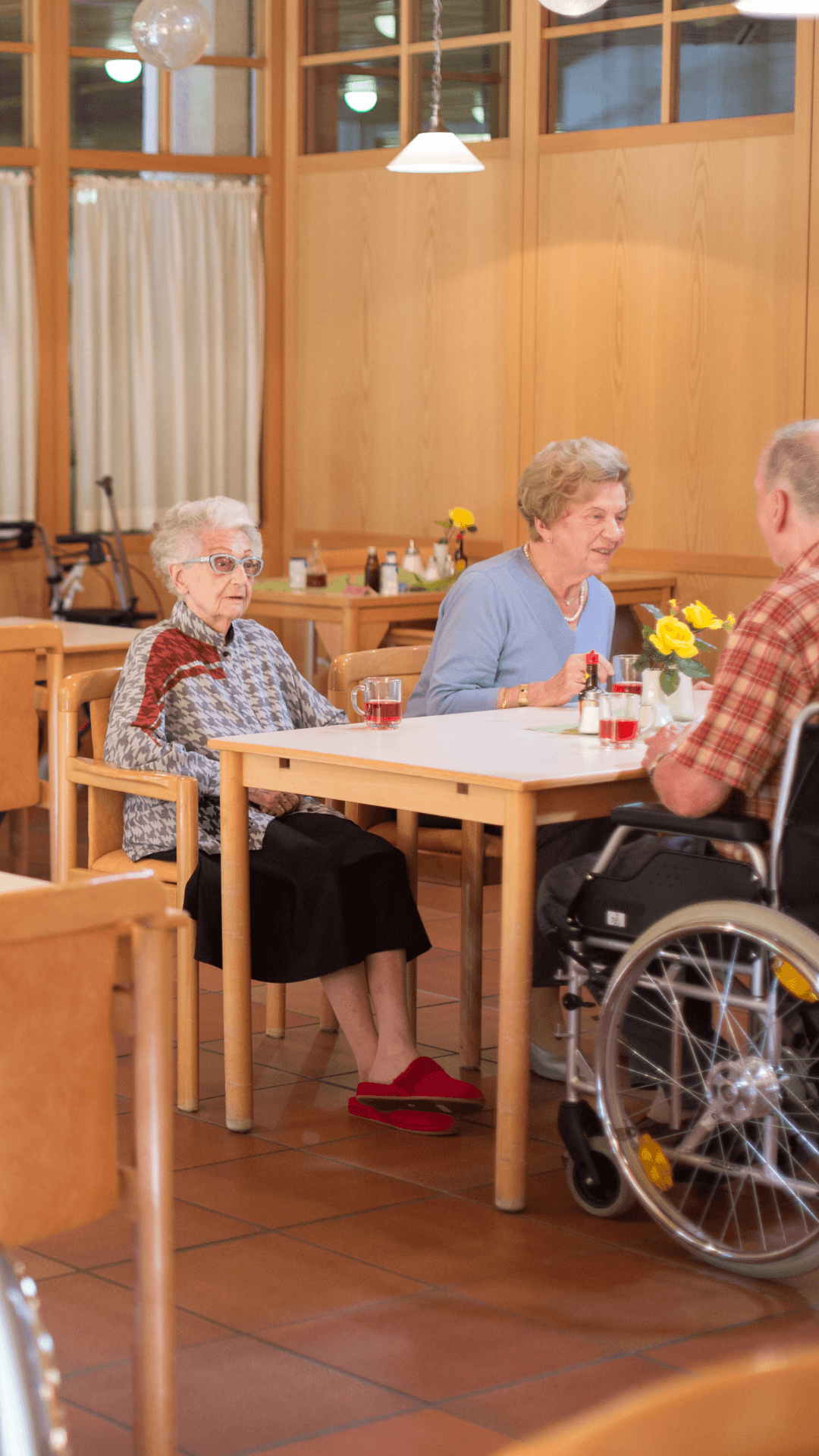 residencias y centros sociosanitarios enfermeria domiciliaria